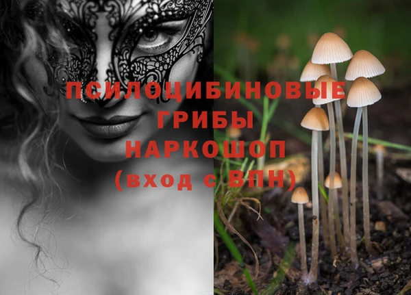 прущая мука Беломорск